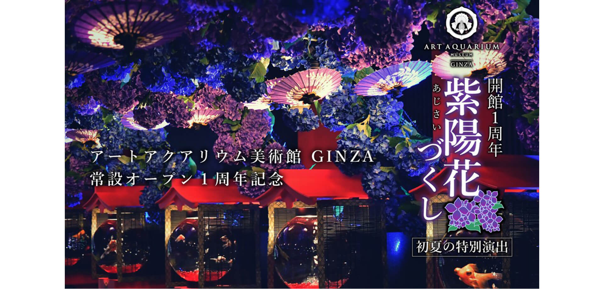 アートアクアリウム美術館 GINZA 紫陽花づくし