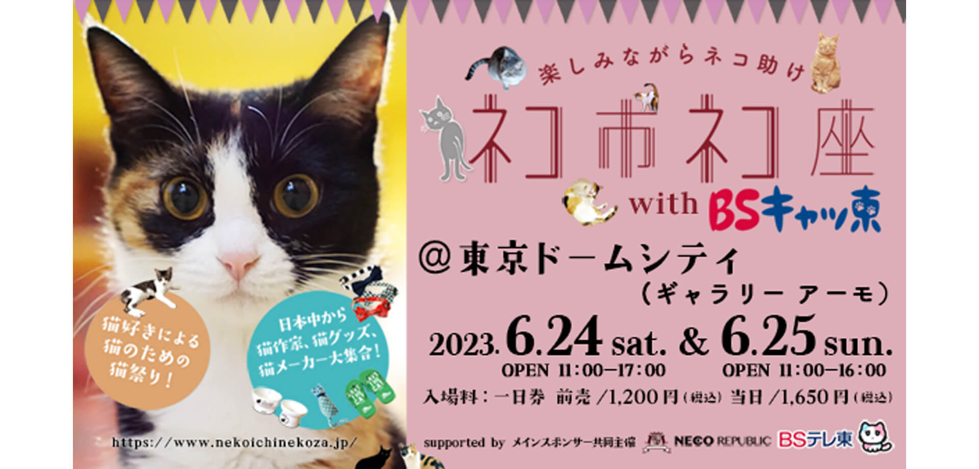東京ドームシティ 猫祭り「ネコ市ネコ座」 保護猫