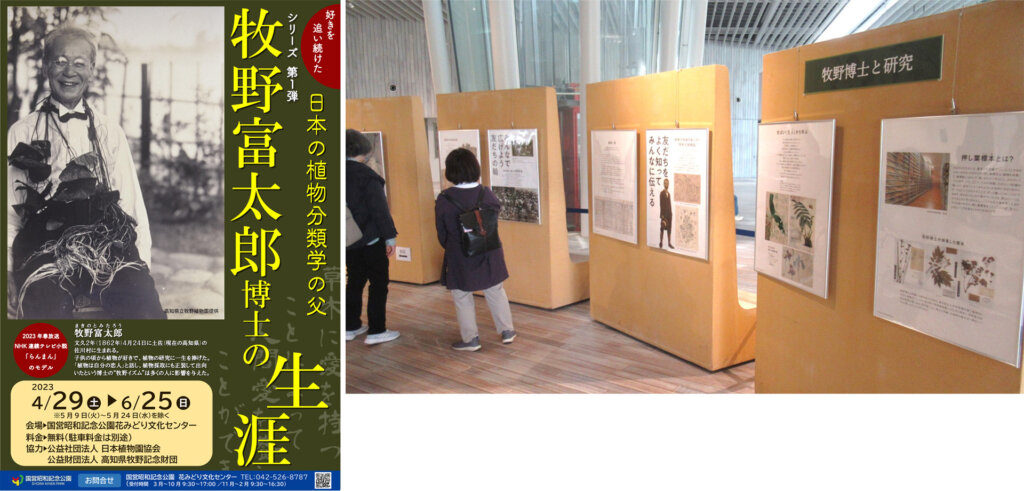 企画展「牧野富太郎博士の生涯」 国営昭和記念公園 花みどり文化センター