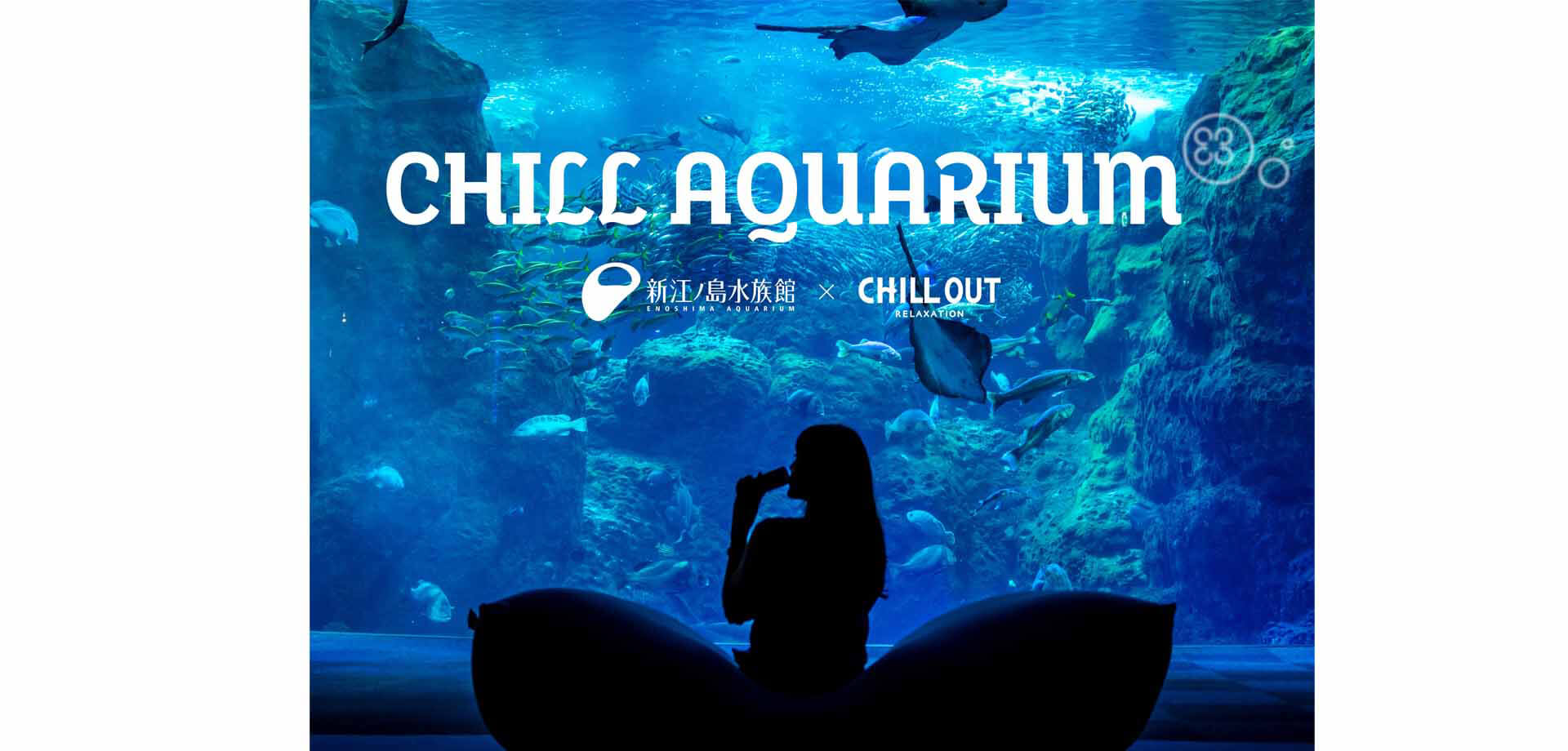 新江ノ島水族館×CHILL OUT CHILL AQUARIUM（チルアクアリウム）