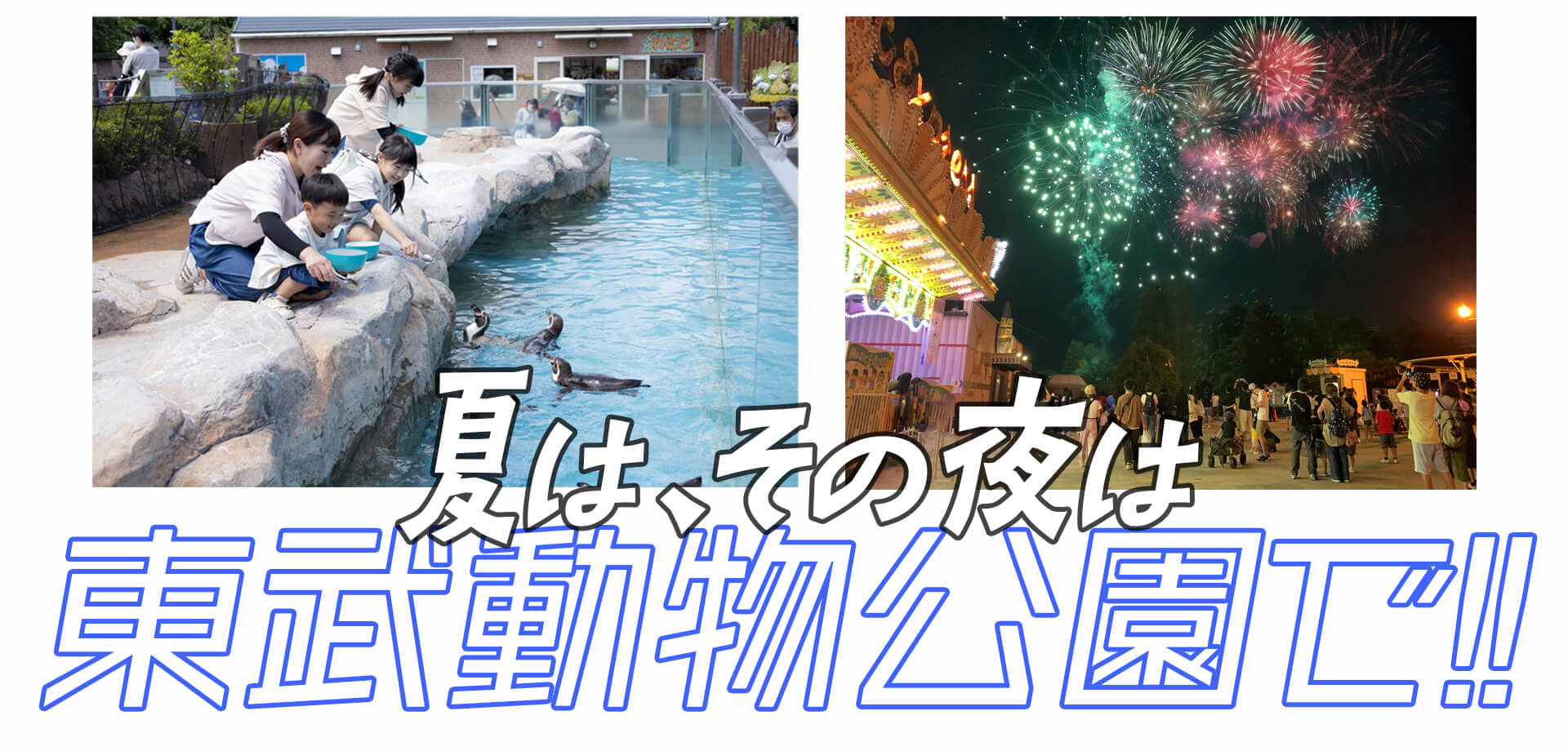 夏の夜間イベント『サマーナイトZOO』 東武動物公園
