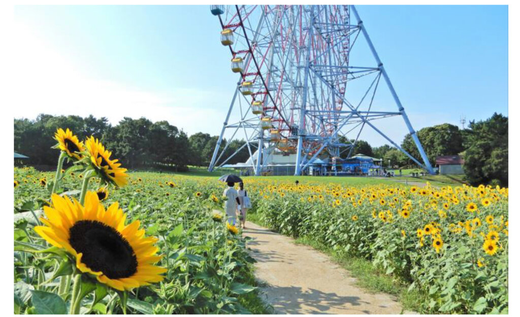 花と光のムーブメント　葛西臨海公園×ひまわり ライトアップ