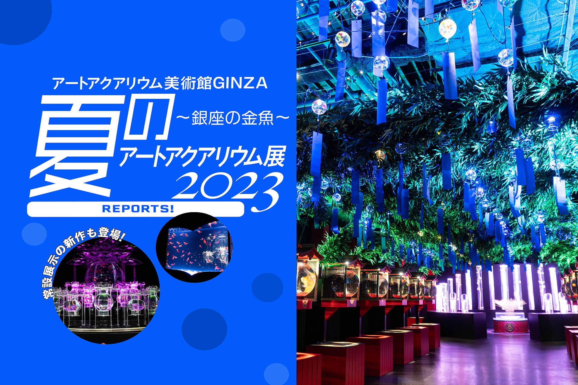 夏のアートアクアリウム展2023 〜銀座の金魚〜】 夏の暑さを忘れさせる、銀座三越の話題スポットで始まったシーズンイベント!  常設展示作もイッキに5作品追加！ 《2023.9.26まで》 | 関東のお出かけ情報ならオソトイコ