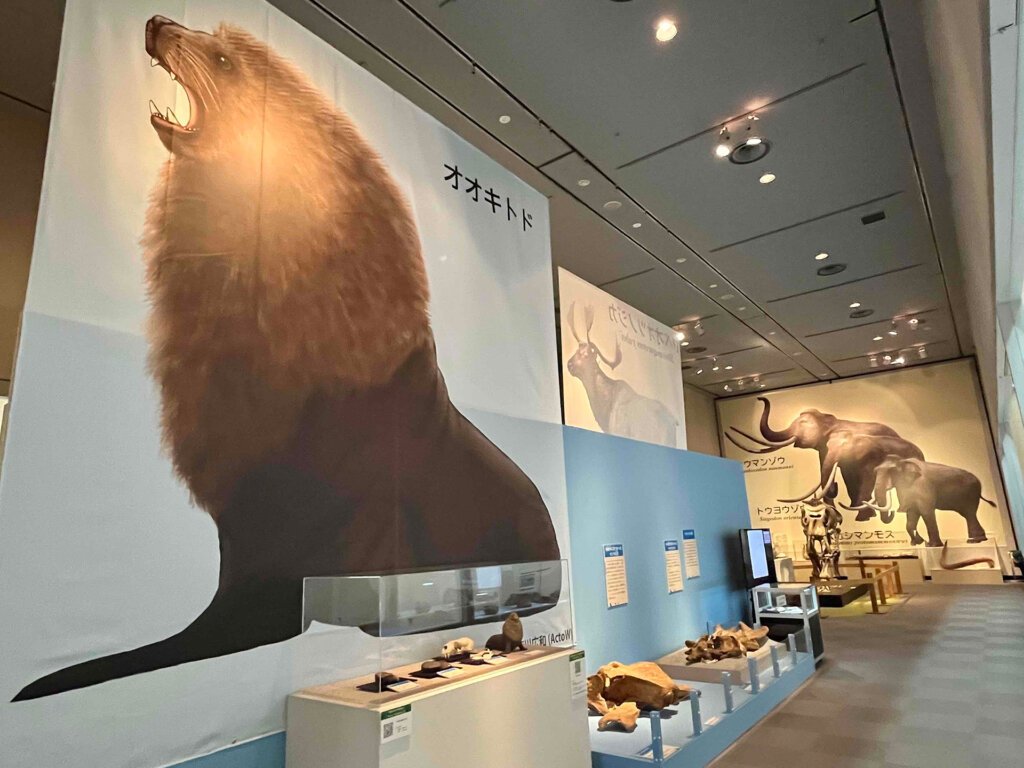 特別展「よみがえるチバニアン期の古生物」 千葉県立中央博物館