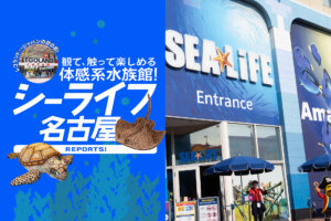 シーライフ名古屋　レゴランドジャパン　水族館　レゴランドホテル