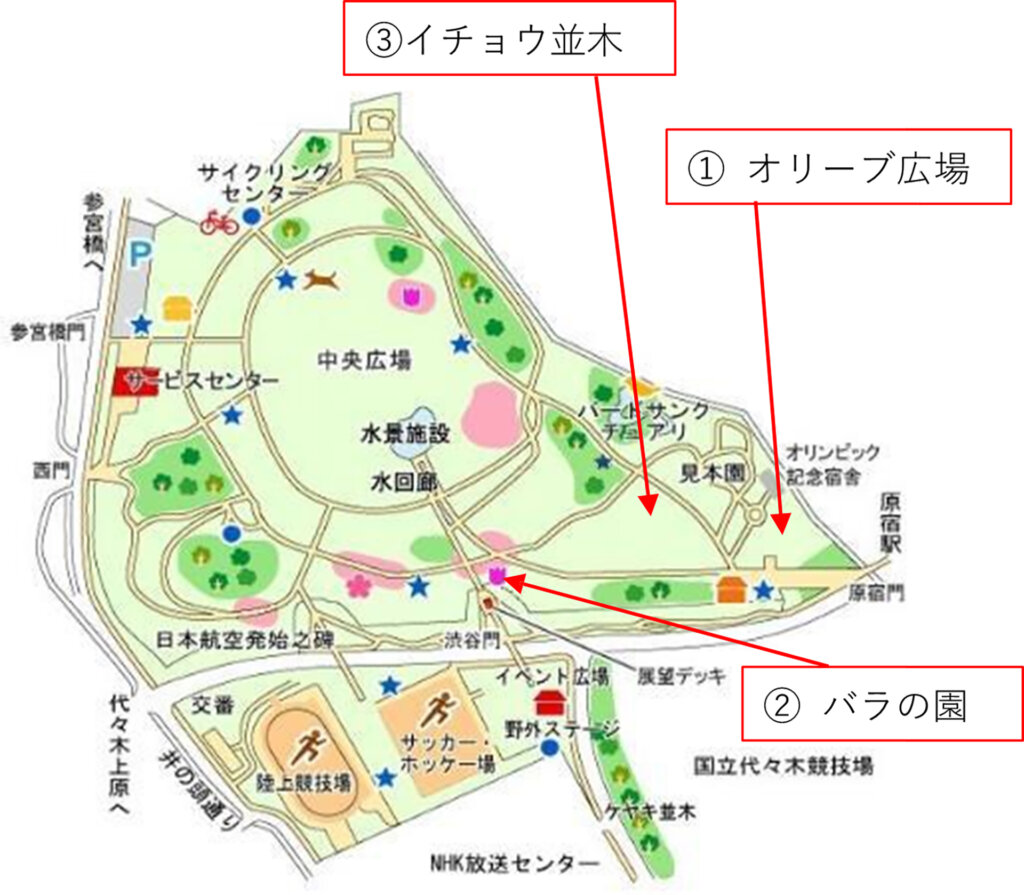 代々木公園の地図