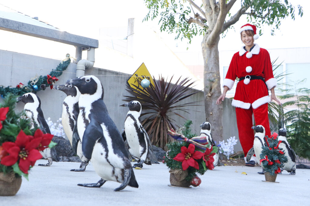 サンタとペンギンのパレード