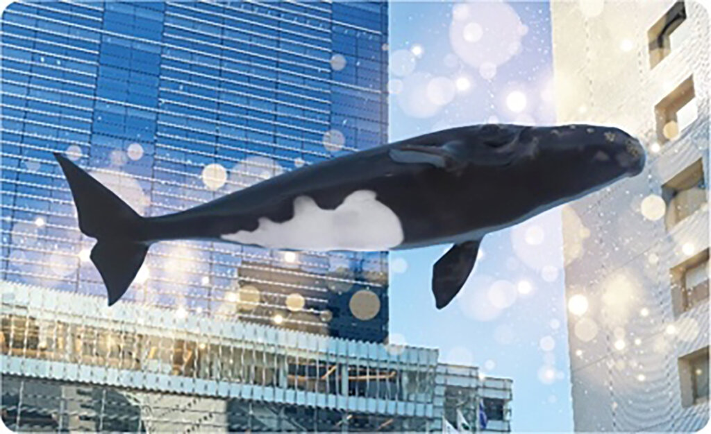 街に浮くクジラ合成画像