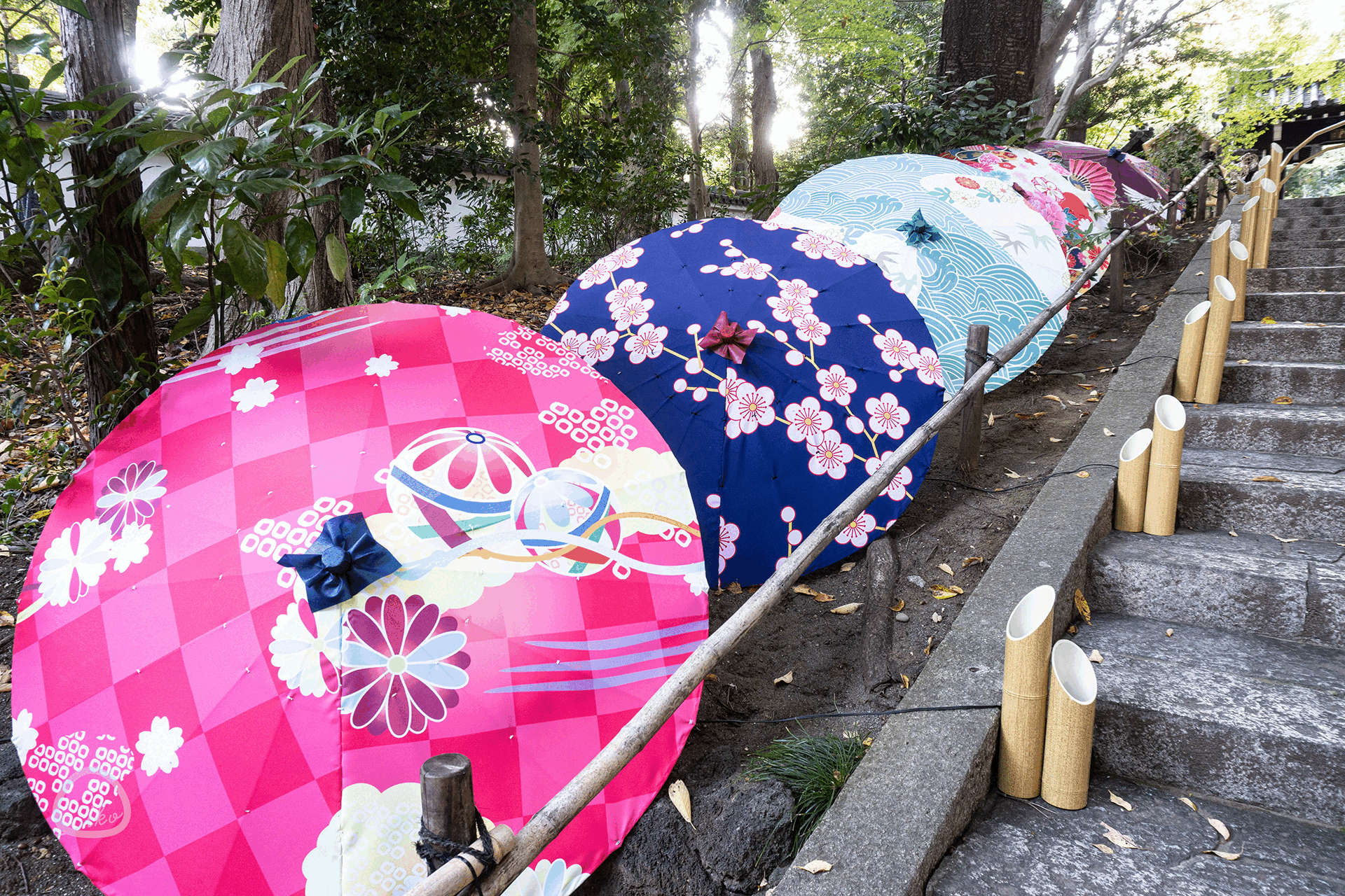 HANA･BIYORI×和傘