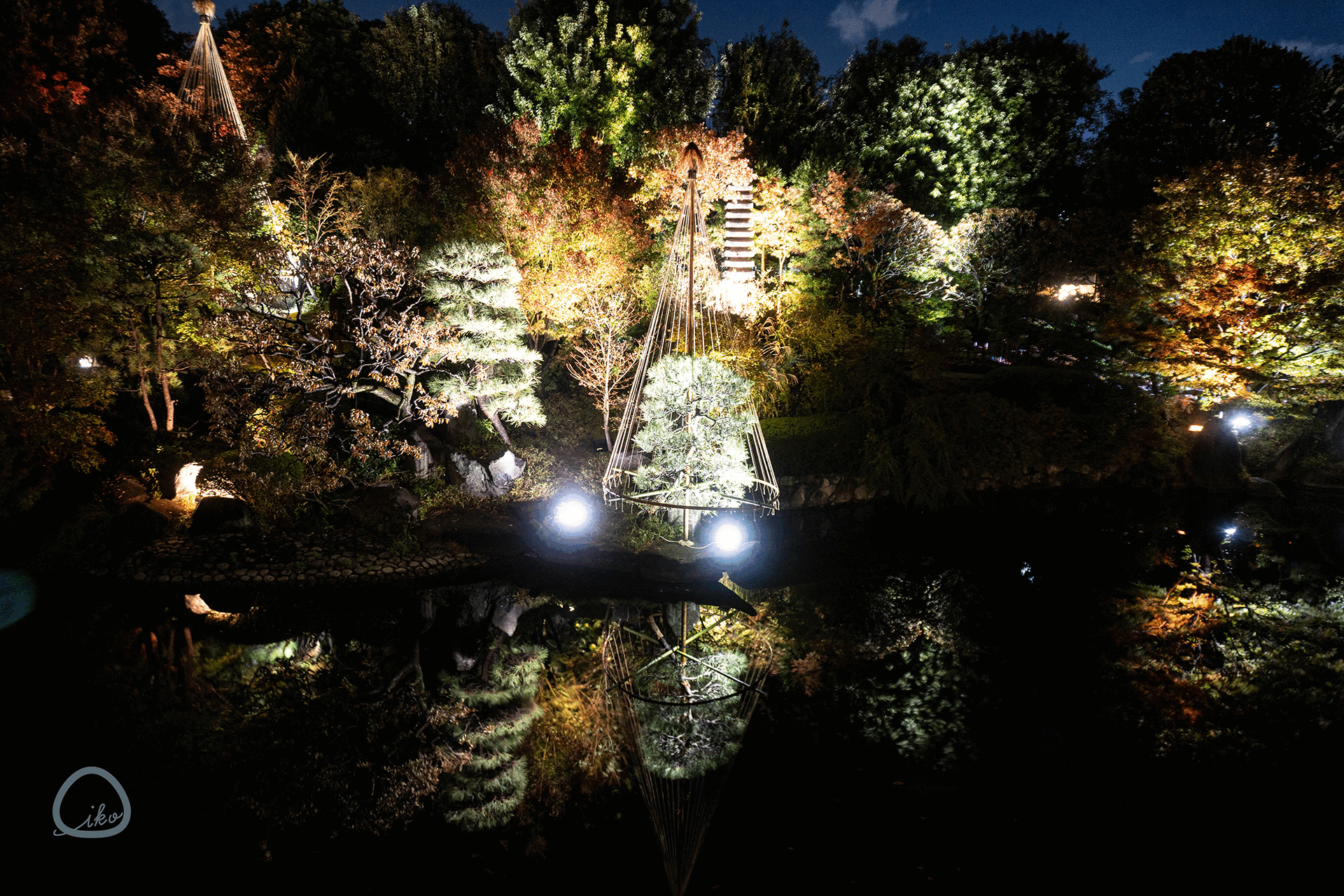 目白庭園・庭園の紅葉ライトアップ