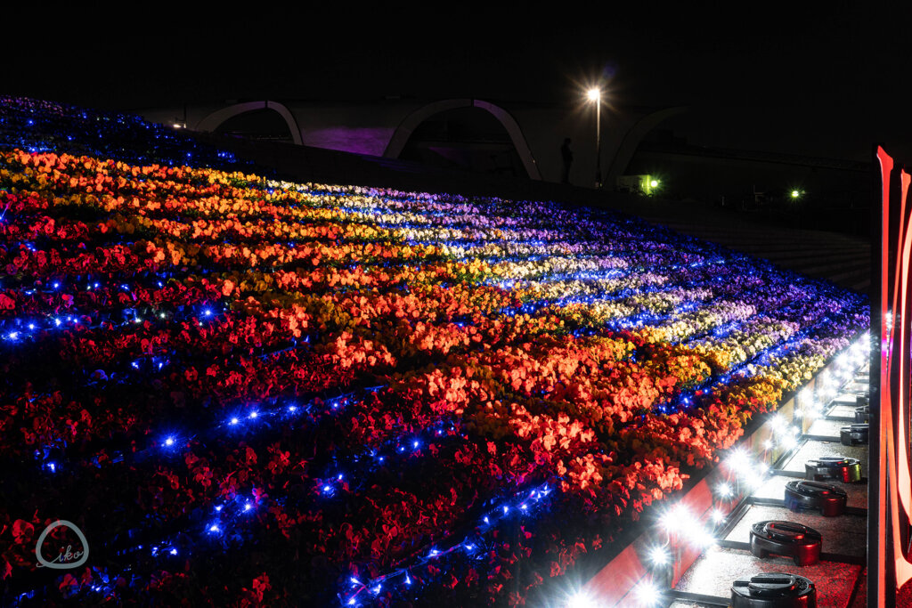 花と光のムーブメント駒沢公園