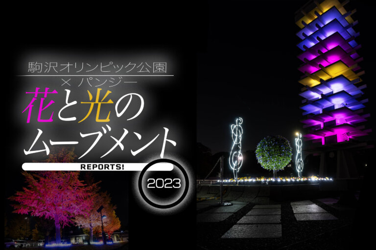 花と光のムーブメント駒沢公園