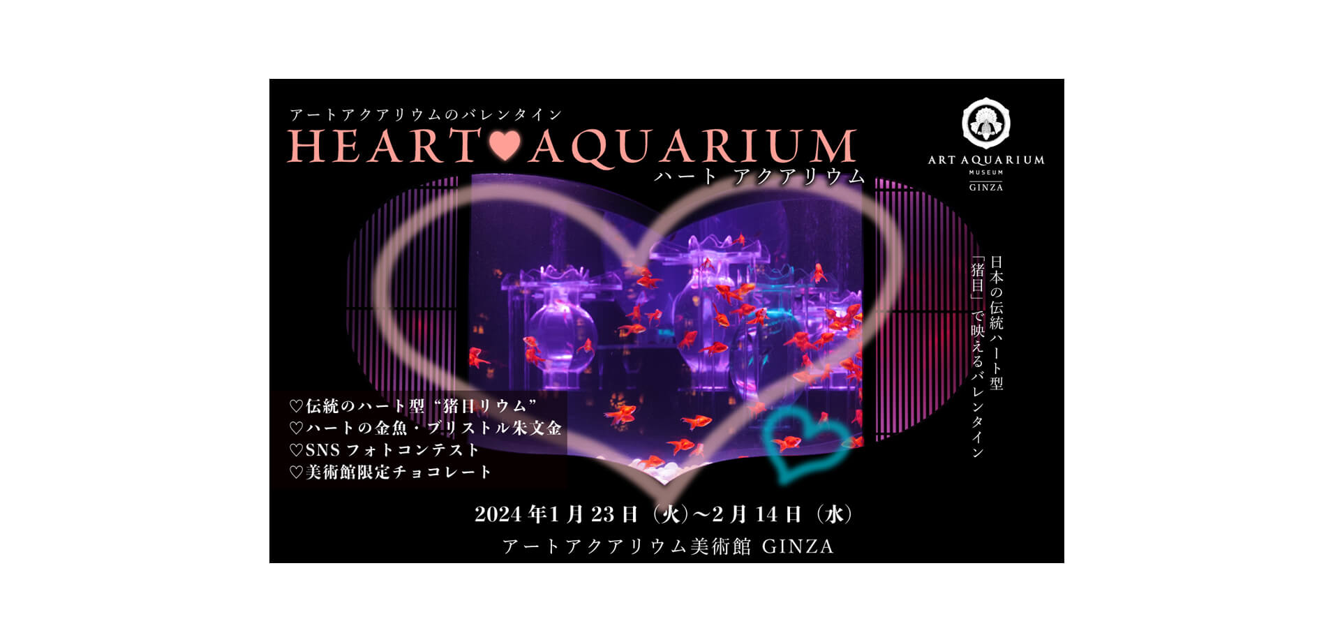 Heart Aquarium アートアクアリウム美術館 GINZA