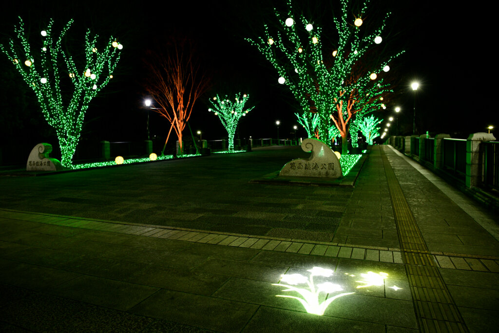 花と光のムーブメント 葛西臨海公園