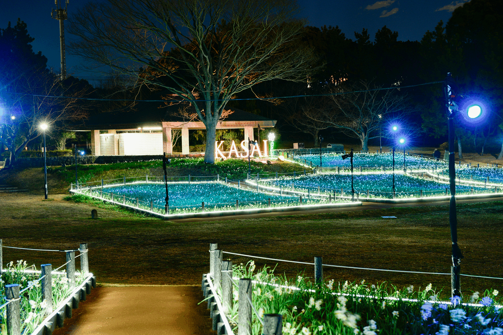 花と光のムーブメント 葛西臨海公園