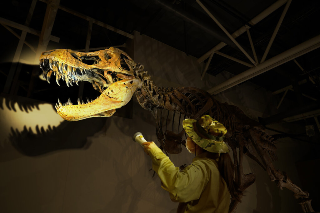 恐竜博物館のナイトミュージアム