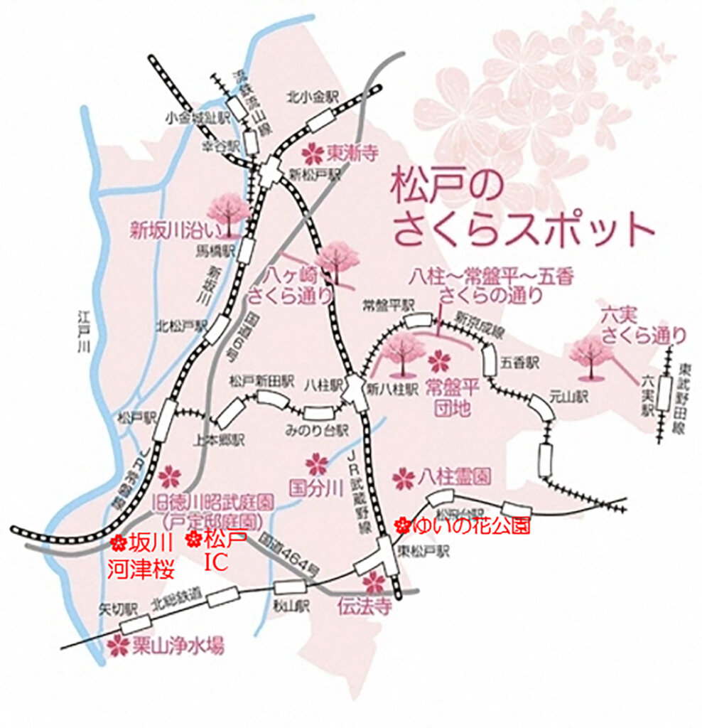 松戸市さくらまつり地図