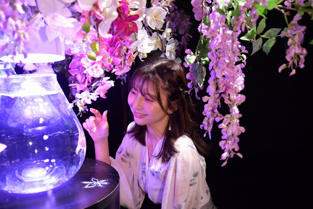 アートアクアリウム美術館 GINZA「風薫る、藤と紫陽花 初夏きんぎょ」楽しむ女