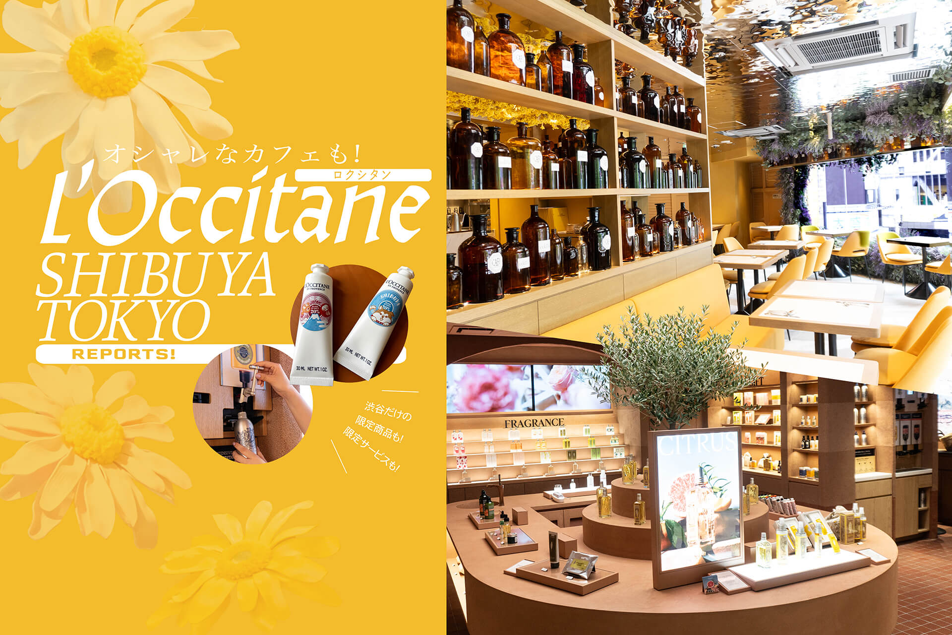 ロクシタン渋谷　loccitane　バナー