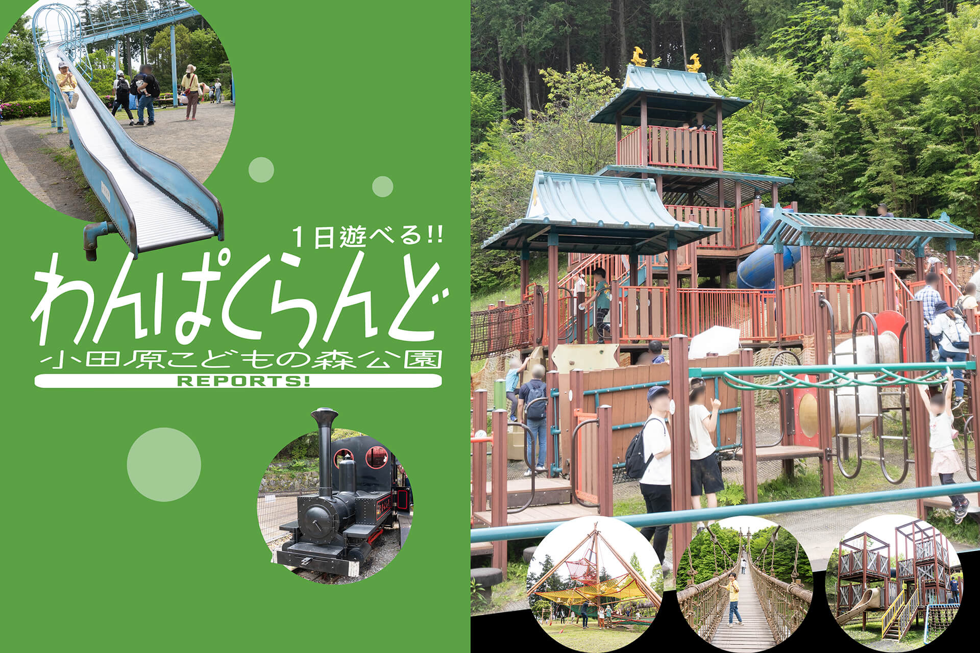 小田原こどもの森公園　わんぱくらんど