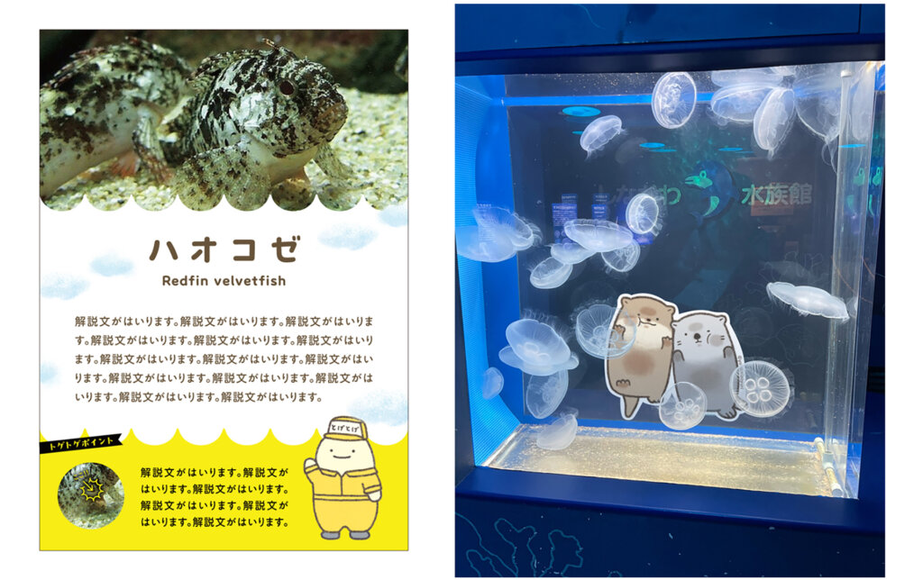 「よこみぞゆりのなんでもいきものパーク」しながわ水族館　展示風景