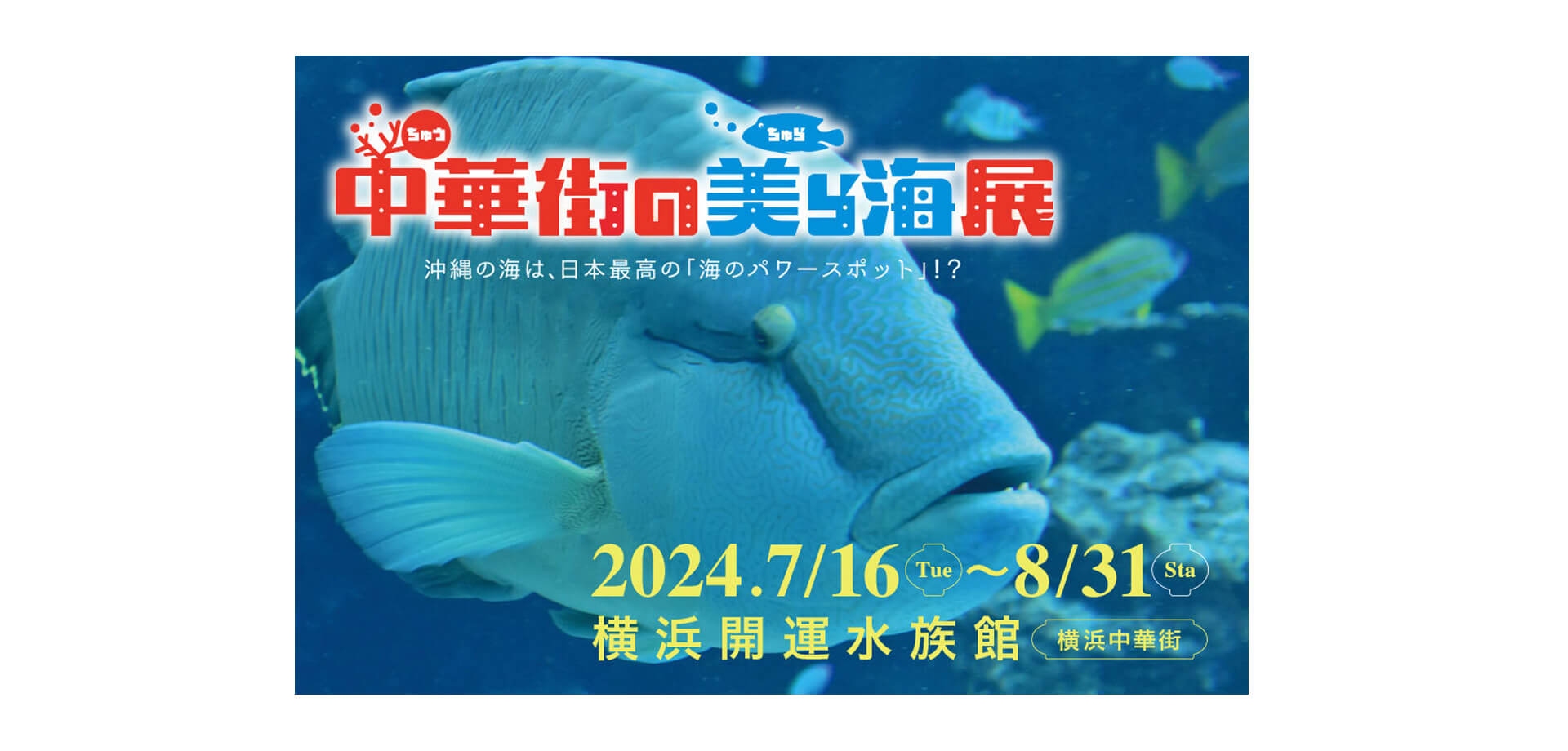 横浜開運水族館 フォーチュンアクアリウム 中華街の美ら海展