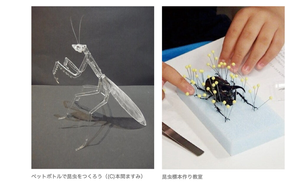 多摩六都科学館 「ロクト昆虫図鑑」ワークショップ