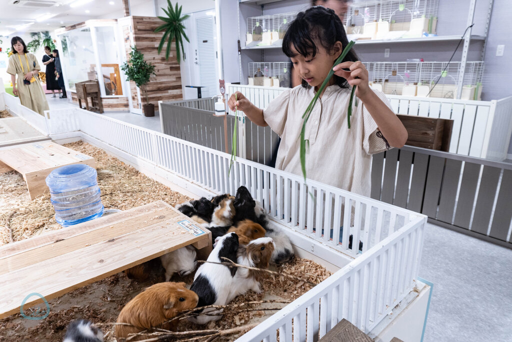 アニタッチ　東京ドームシティ　動物たち