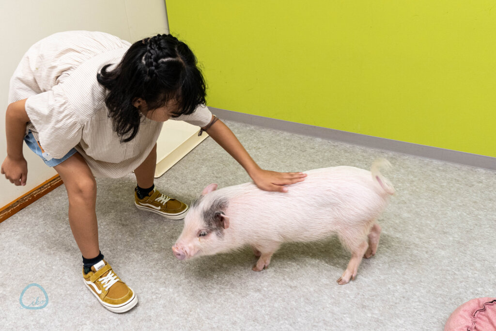 アニタッチ　東京ドームシティ　動物たち