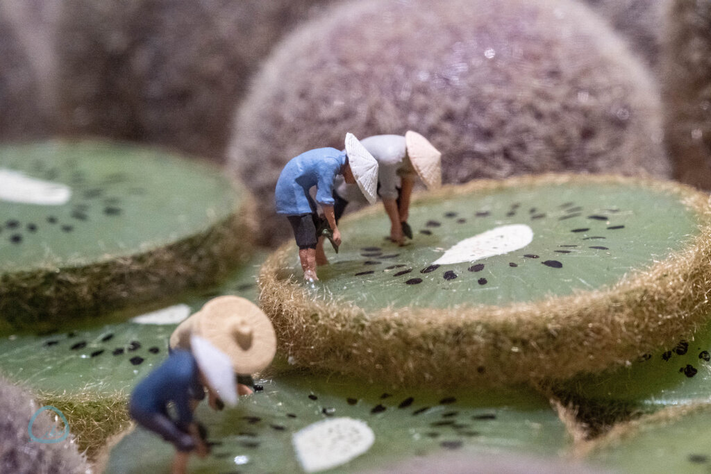 MINIATURE LIFE展 2　会場風景 キウイの畑