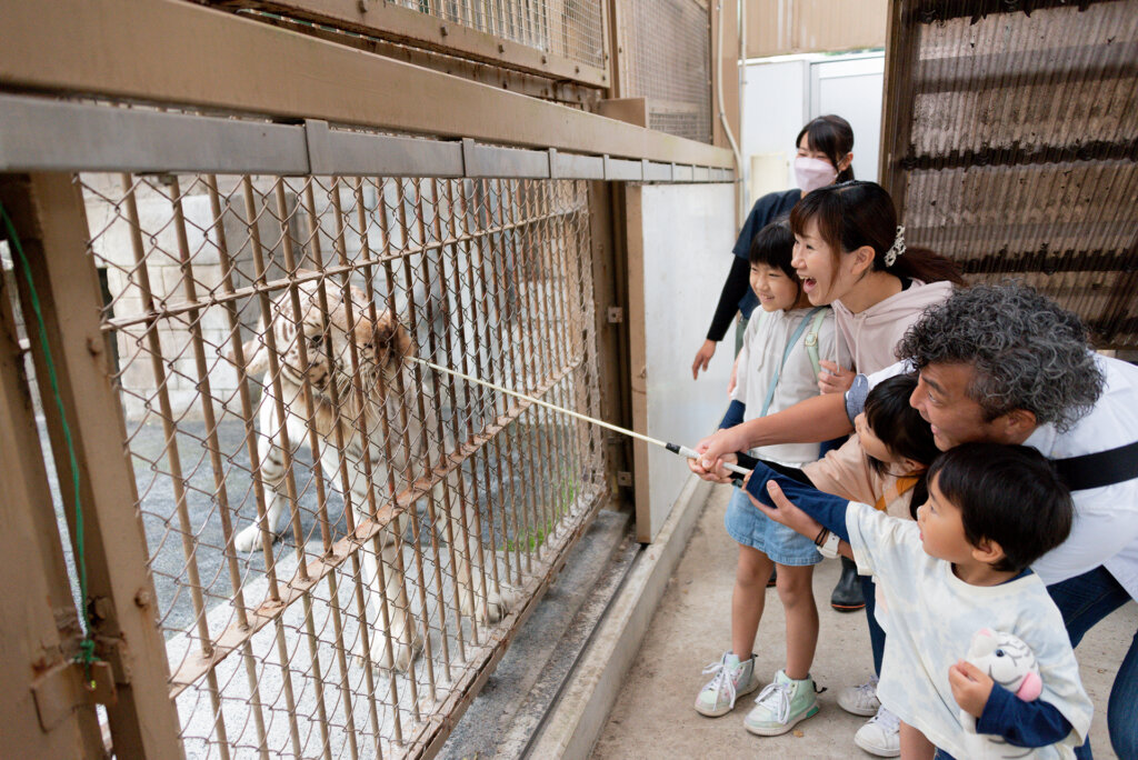 東武動物公園　オータムナイト ZOO　餌やり