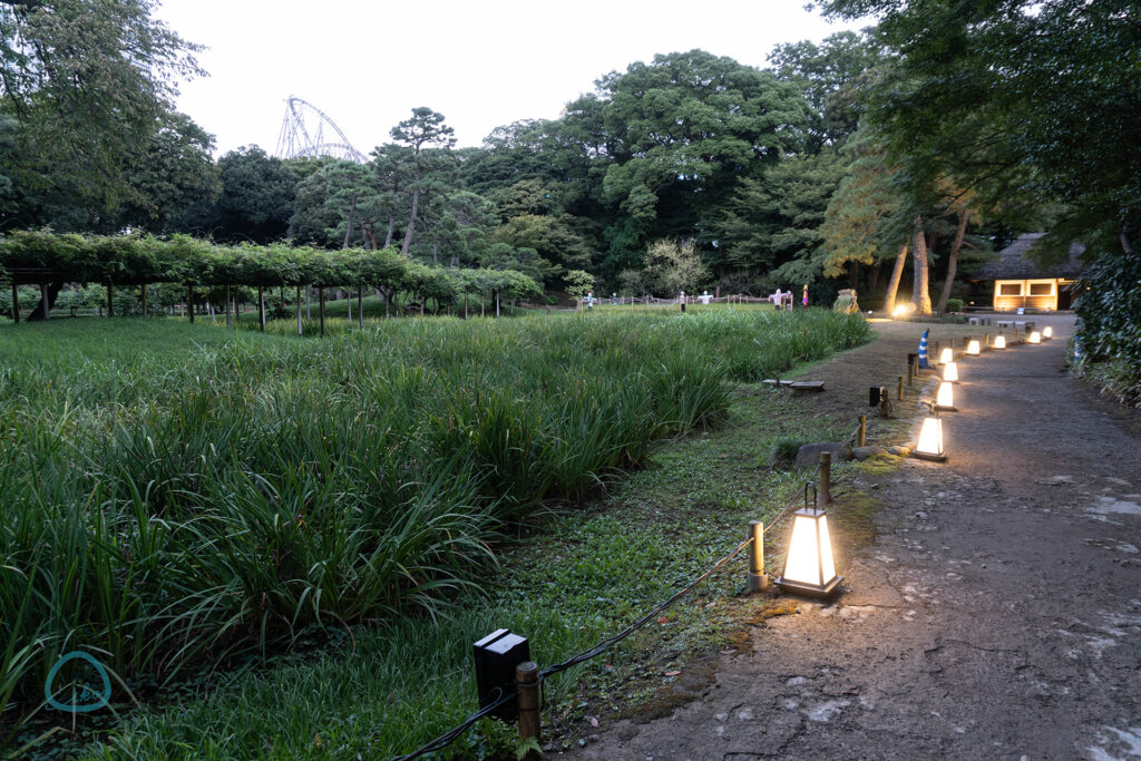 夜間特別開園 秋の夜長の小石川後楽園　園内の田園