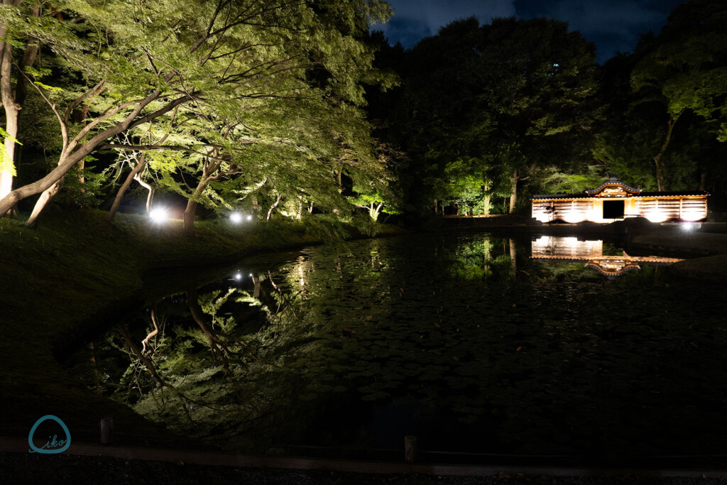 夜間特別開園 秋の夜長の小石川後楽園　唐門