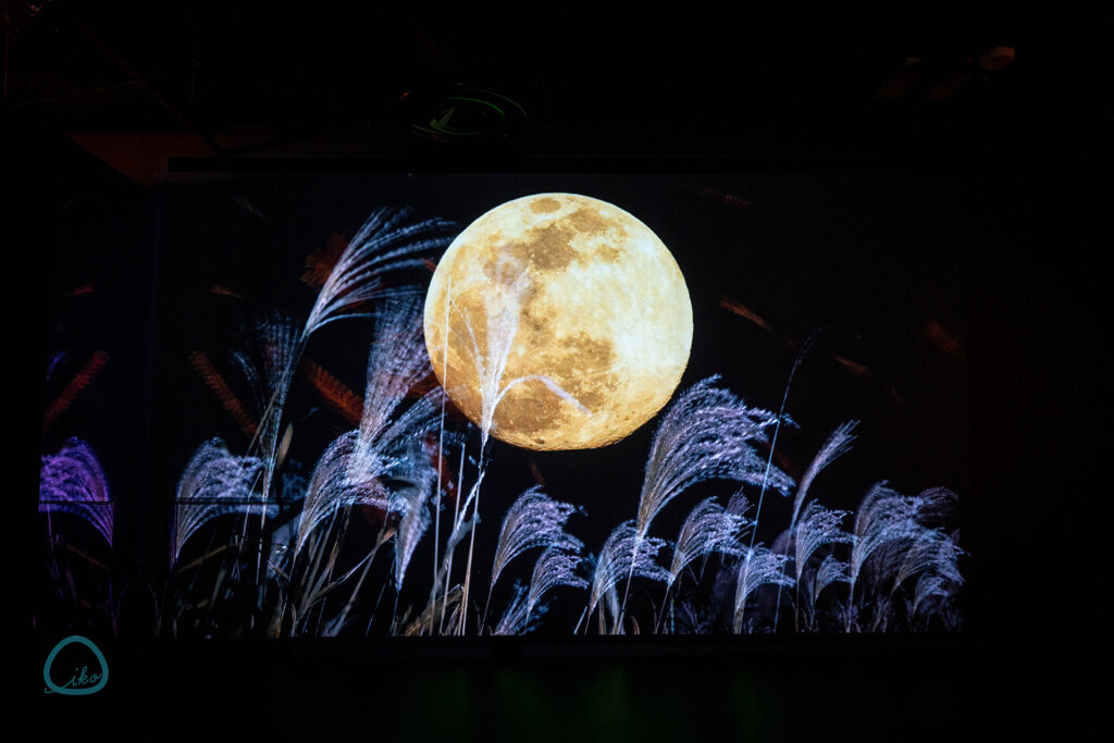 アートアクアリウム美術館　企画展「金魚泳ぐ幻想秋夜」　満月