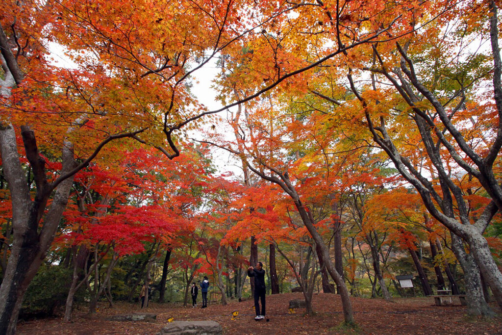 長瀞紅葉の様子