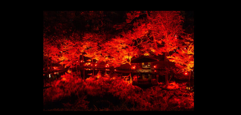 八芳園TOKYO RED GARDEN 2024