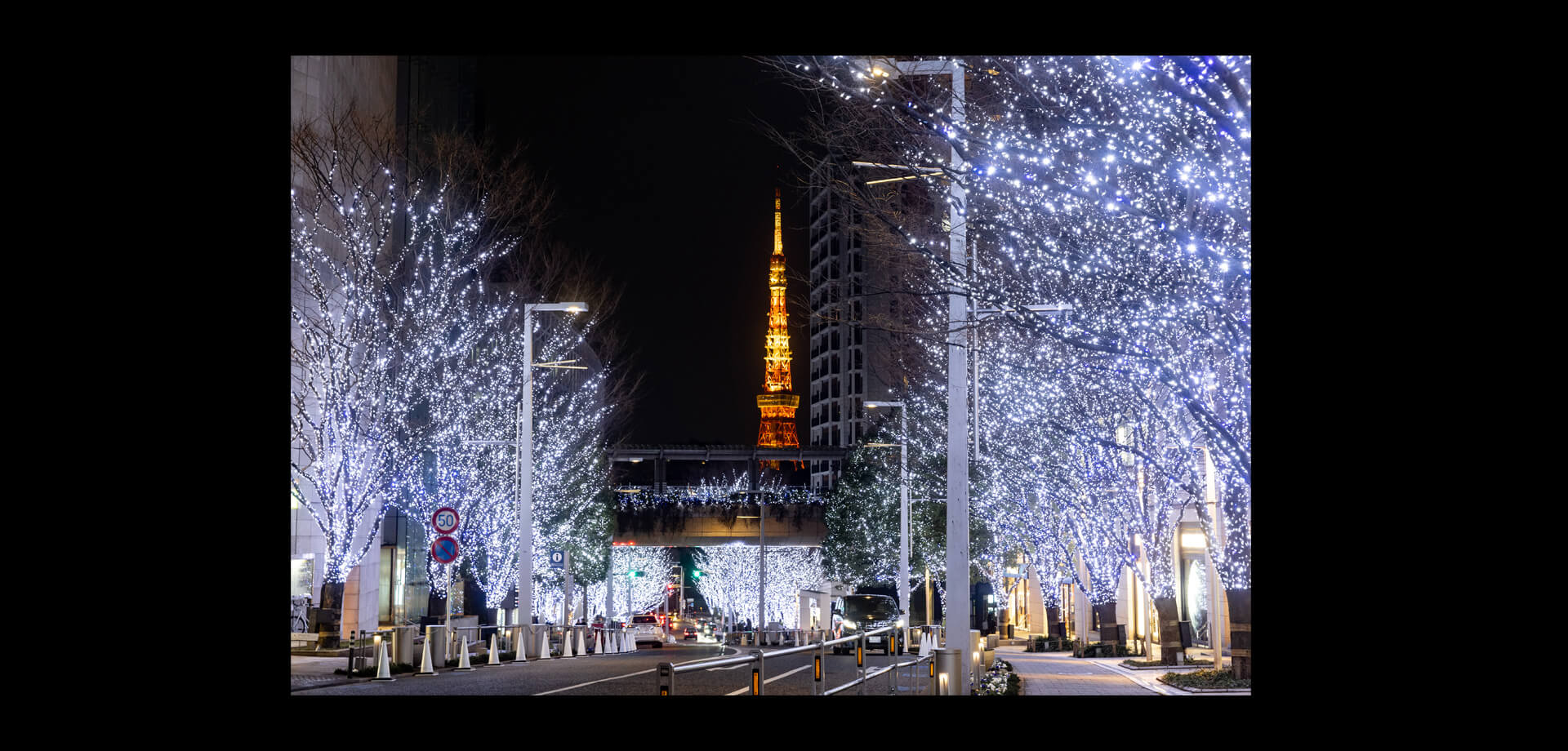 Roppongi Hills Christmas 2024イルミ