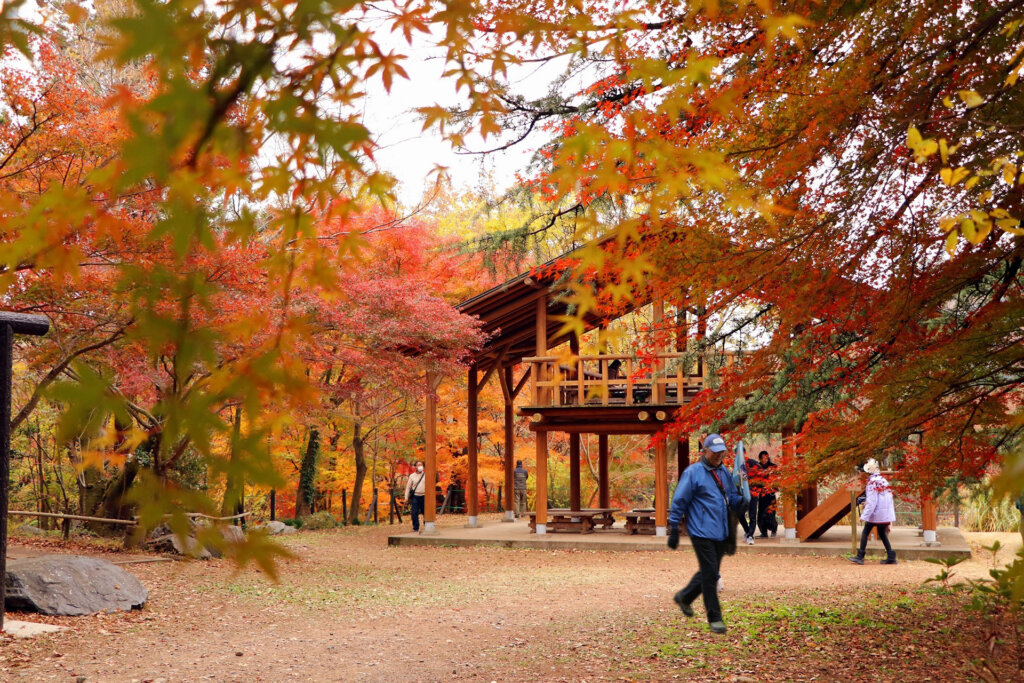 嵐山渓谷紅葉まつり