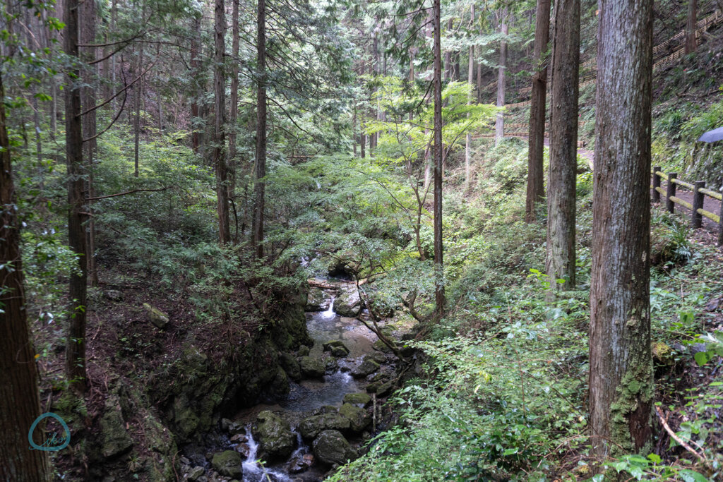 檜原村・払沢の滝