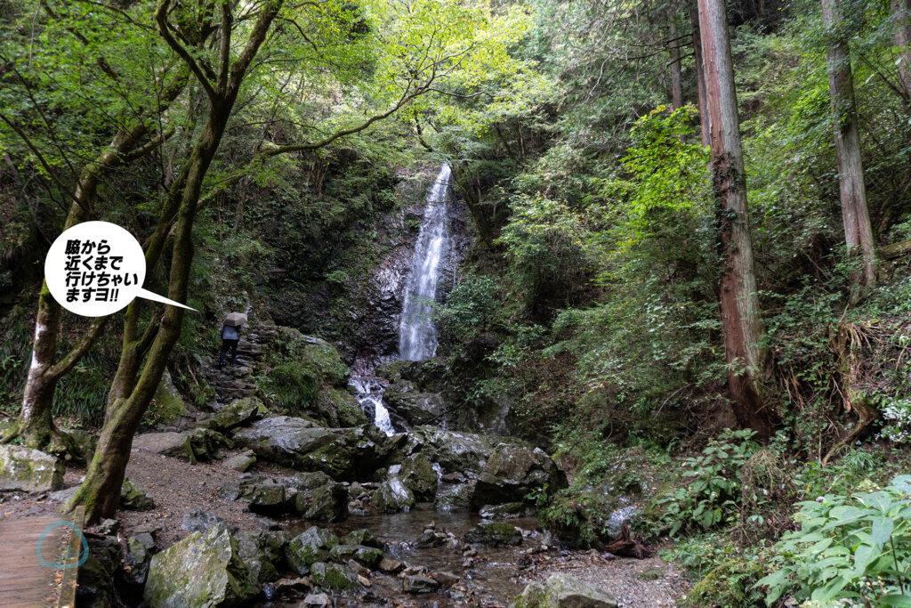 檜原村・払沢の滝