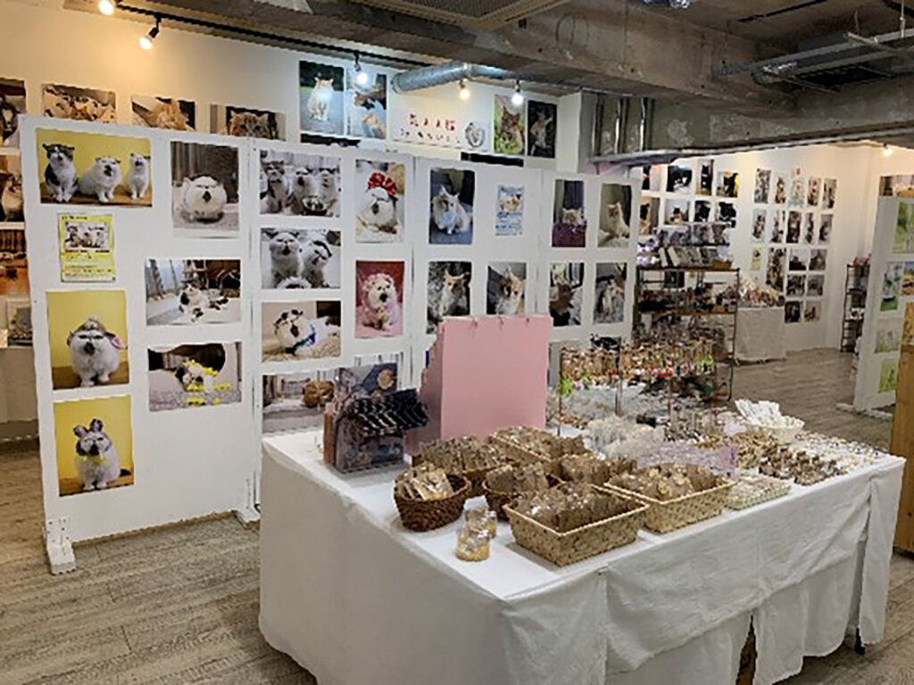 ねこ休み展 in 横浜