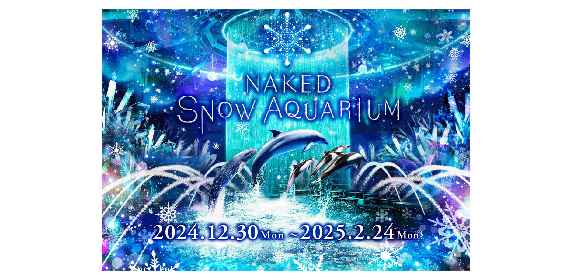 NAKED SNOW AQUARIUM