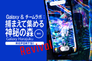 捕まえて集める神秘の森