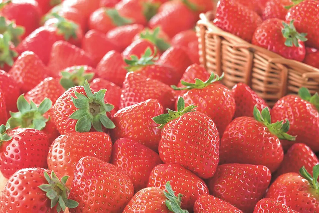 いちごマルシェ2025inコピス吉祥寺