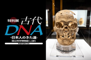 特別展「古代DNA 日本人のきた道」国立科学博物館