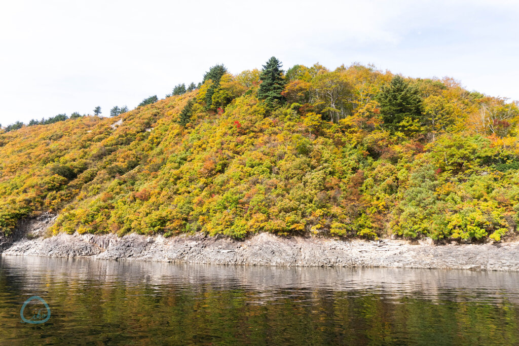 新潟 魚沼市 奥只見ダム 枝折峠