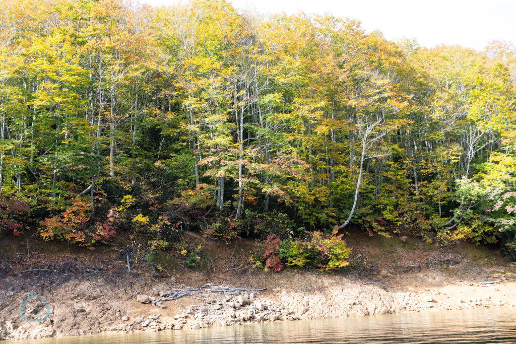 新潟 魚沼市 奥只見ダム 枝折峠