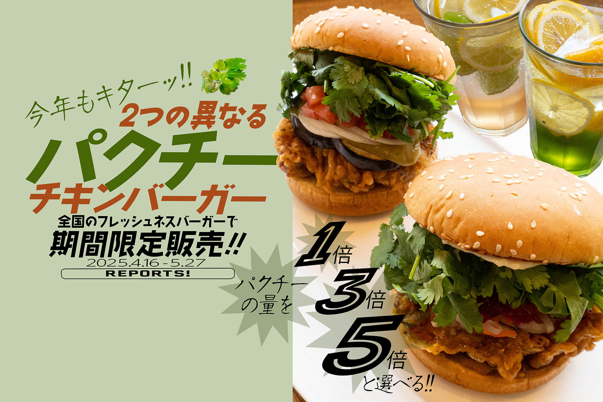 フレッシュネスバーガーでパクチー! バインミーとグリーンカレーの2