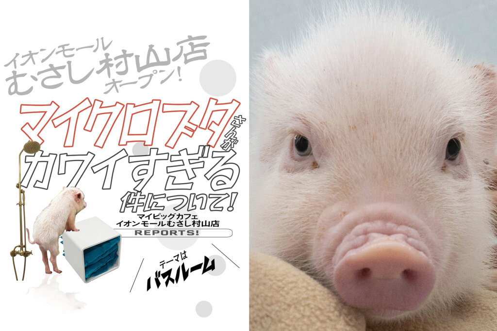 マイピッグカフェ イオンモールむさし村山店