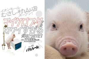 マイピッグカフェ　イオンモールむさし村山店